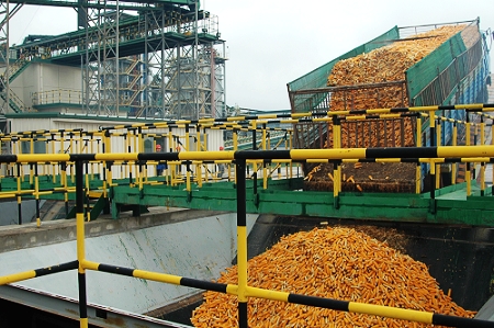 敦煌種業(yè)先鋒良種有限公司酒泉種子加工廠(chǎng)三、四期工程竣工投產(chǎn)