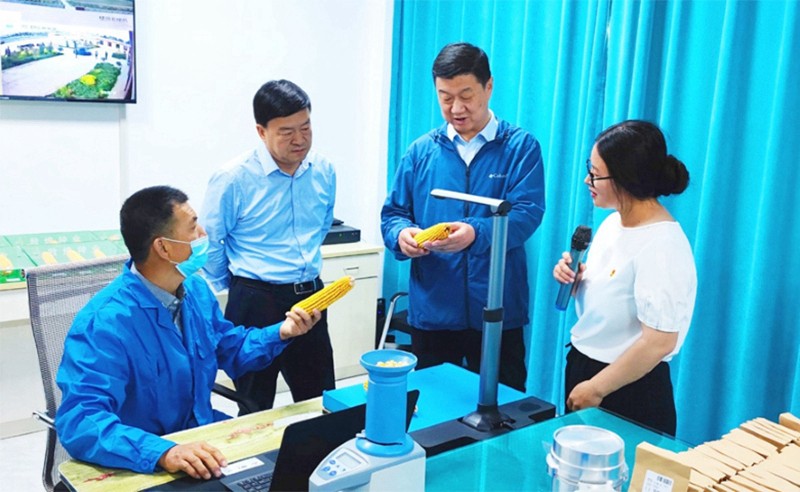 甘肅省地方金融監(jiān)管局、甘肅證監(jiān)局領(lǐng)導(dǎo)蒞臨敦煌種業(yè)調(diào)研指導(dǎo)