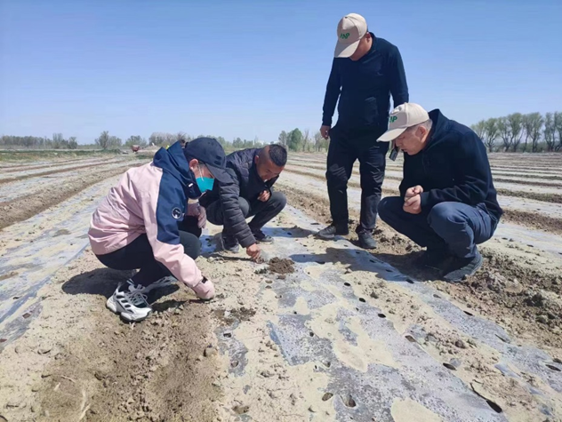 “三抓三促”行動進行時 | 篤行不怠勇?lián)?dāng)　砥礪奮進正當(dāng)時 —— 武威市敦煌種業(yè)種子有限公司“三抓三促”行動紀(jì)實